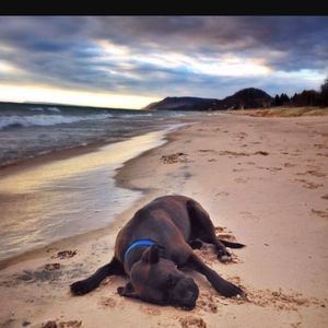 Meet your Posher, Kim